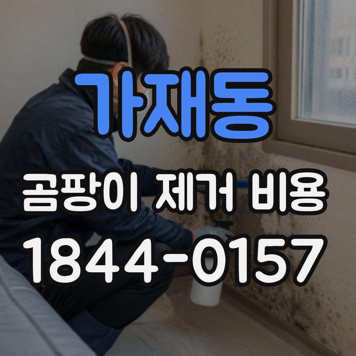 가재동 곰팡이 제거 비용