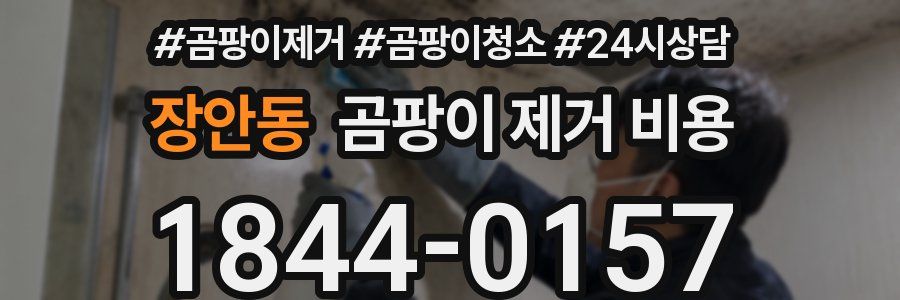장안동 곰팡이 제거 비용