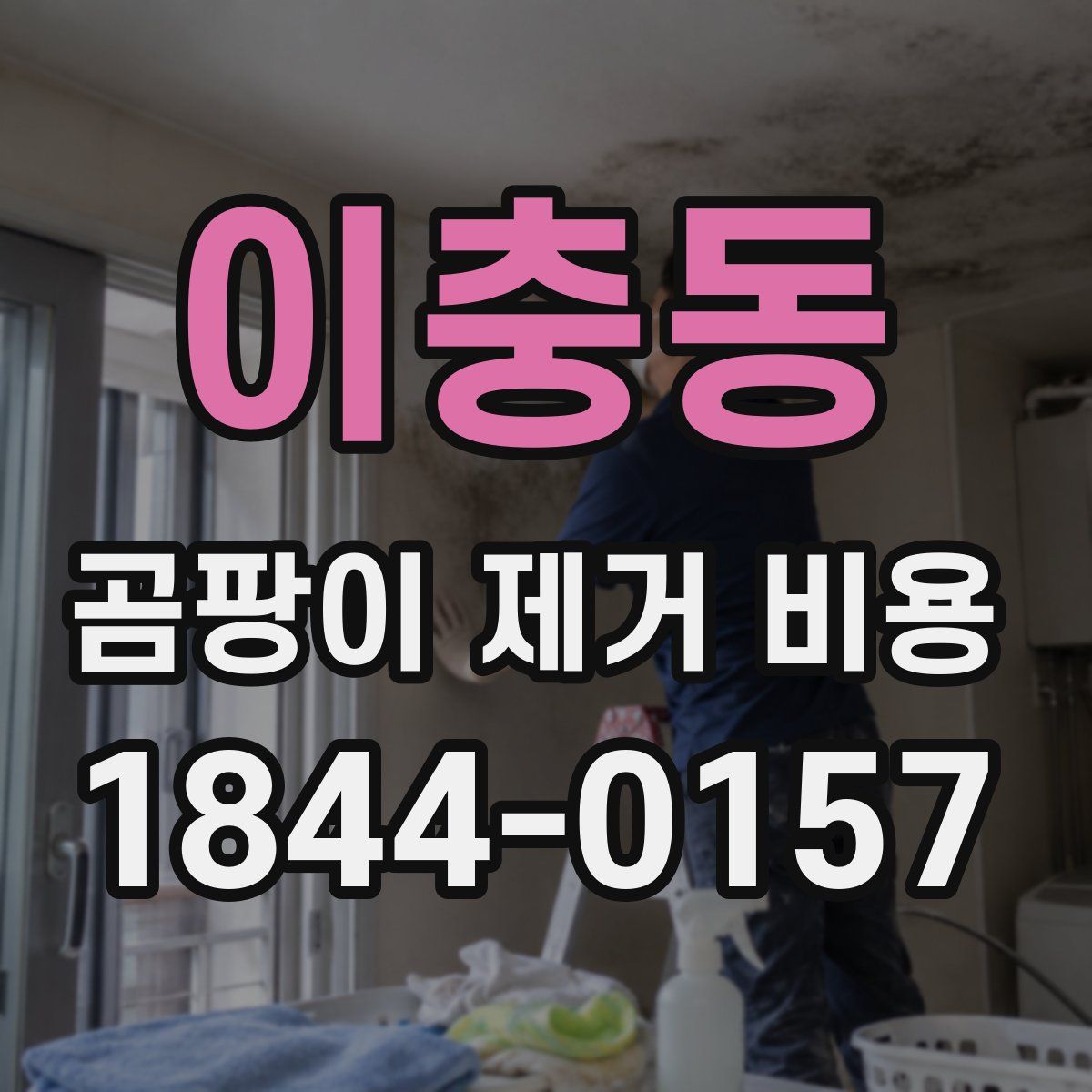 이충동 곰팡이 제거 비용