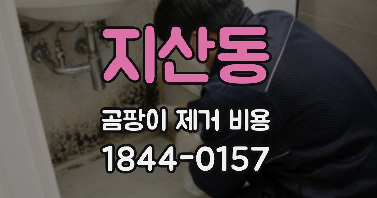 지산동 곰팡이 제거 비용