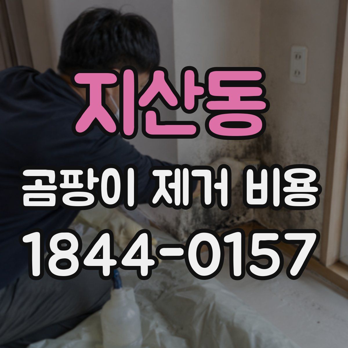 지산동 곰팡이 제거 비용