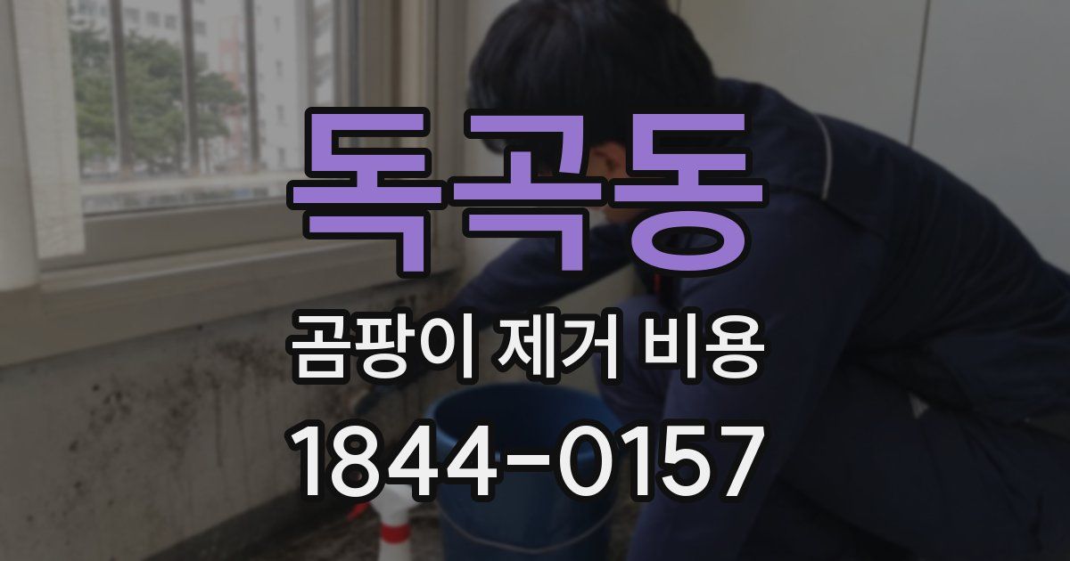 독곡동 곰팡이 제거 비용