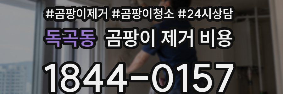 독곡동 곰팡이 제거 비용