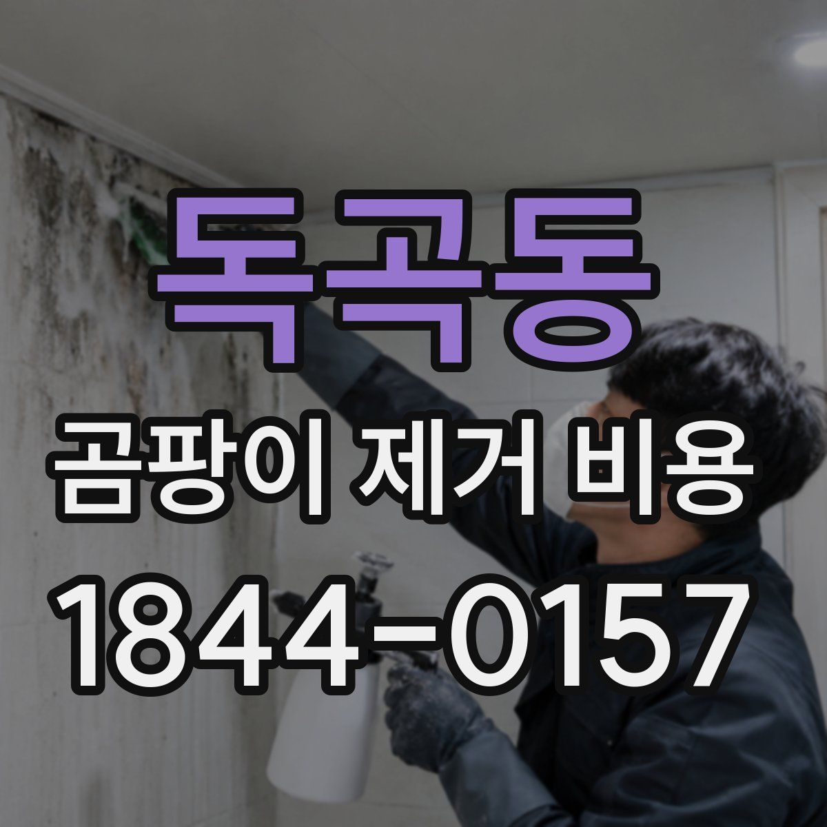 독곡동 곰팡이 제거 비용