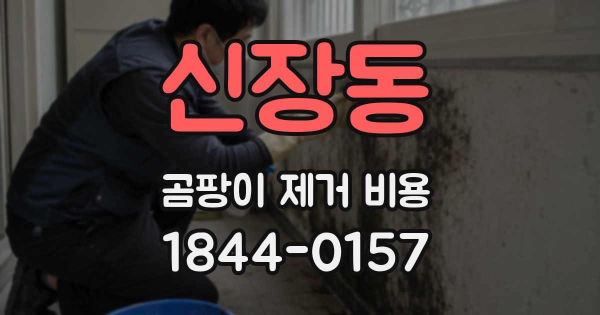 신장동 곰팡이 제거 비용