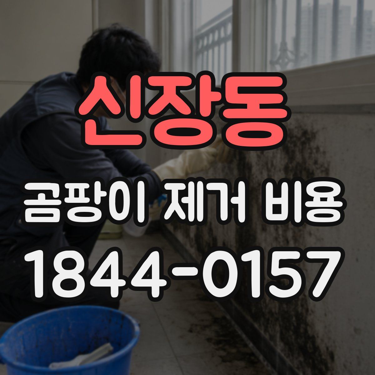 신장동 곰팡이 제거 비용