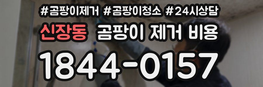 신장동 곰팡이 제거 비용