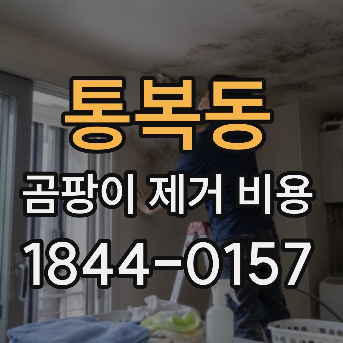 통복동 곰팡이 제거 비용