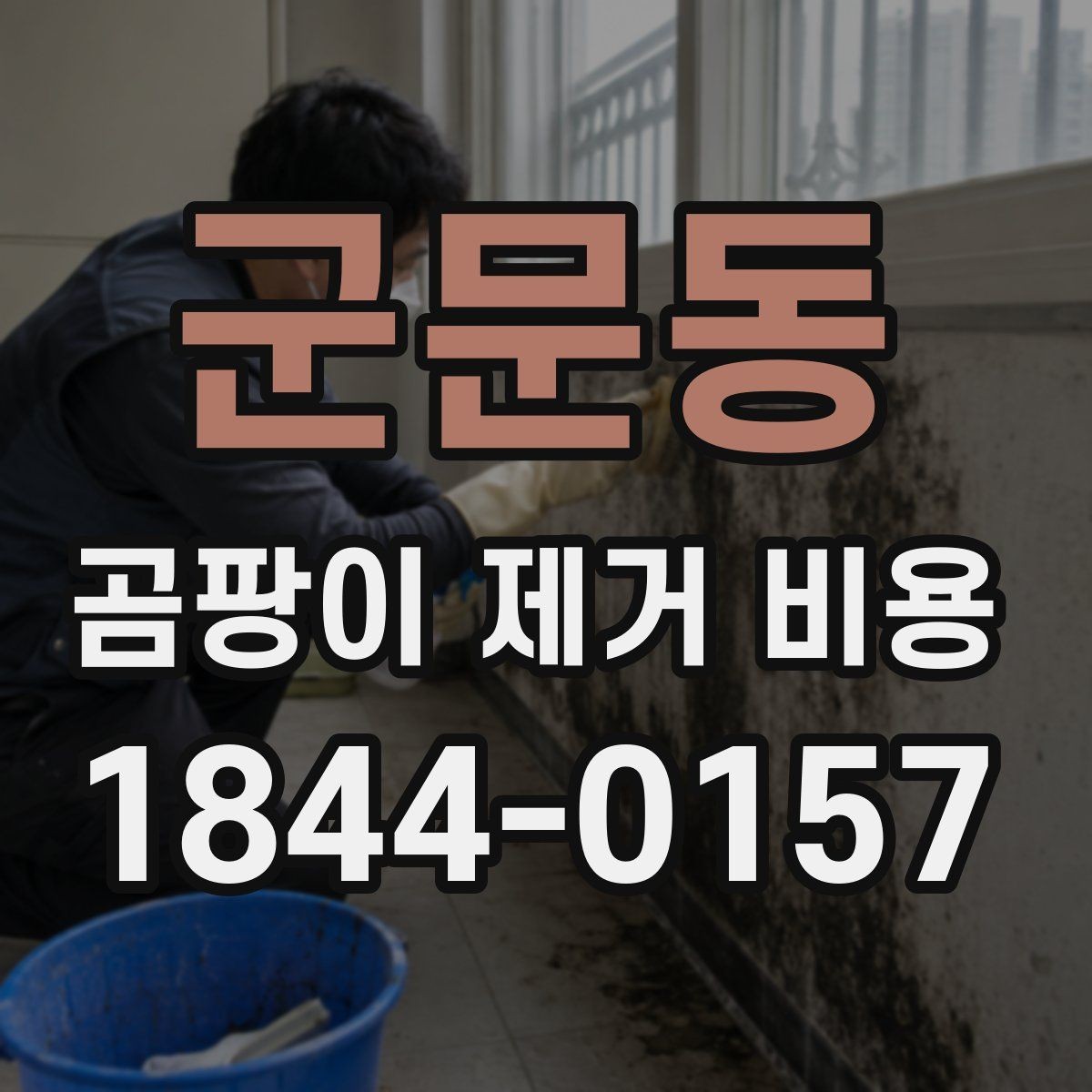 군문동 곰팡이 제거 비용 곰팡이 색상에 따라 달라지는 처리 범위