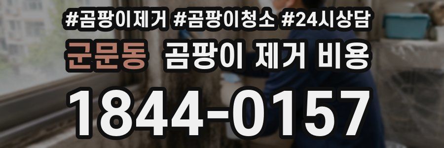 군문동 곰팡이 제거 비용