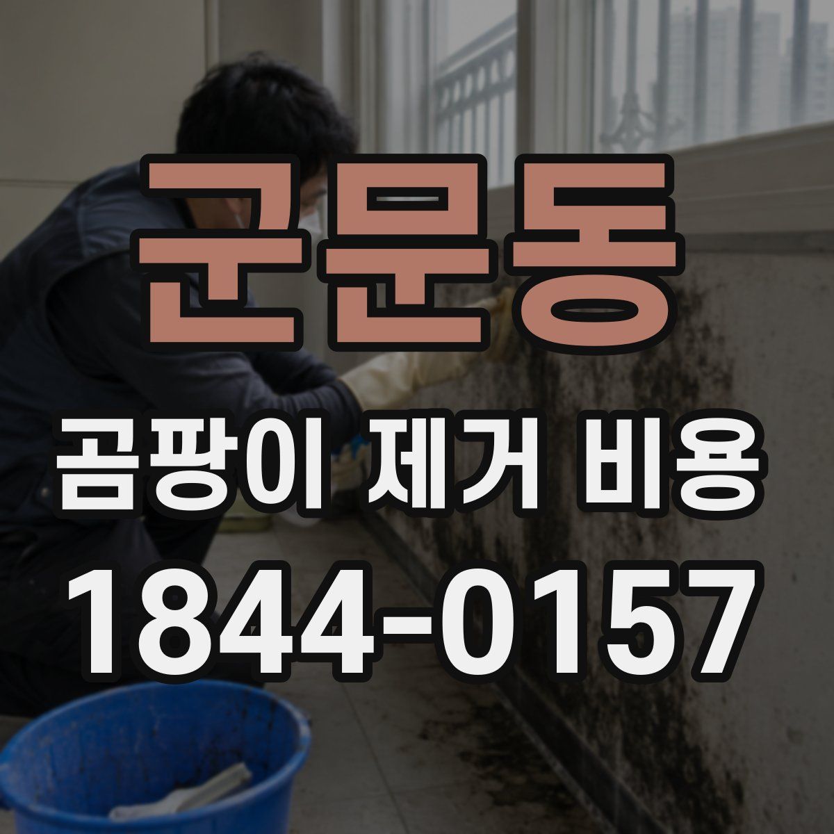 군문동 곰팡이 제거 비용
