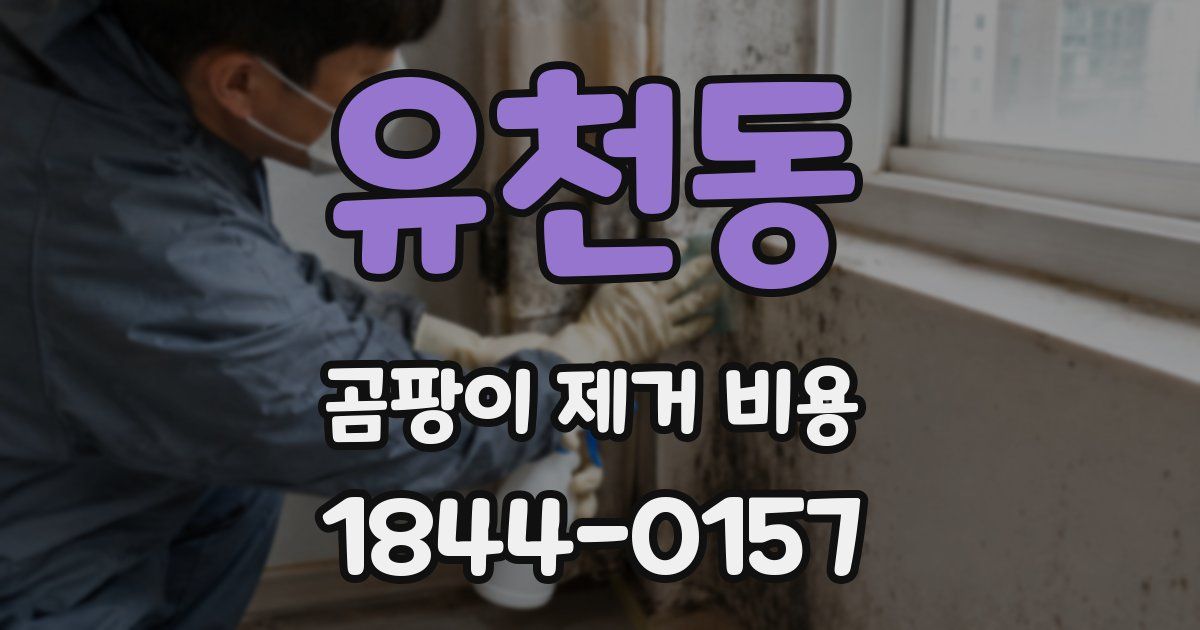 유천동 곰팡이 제거 비용