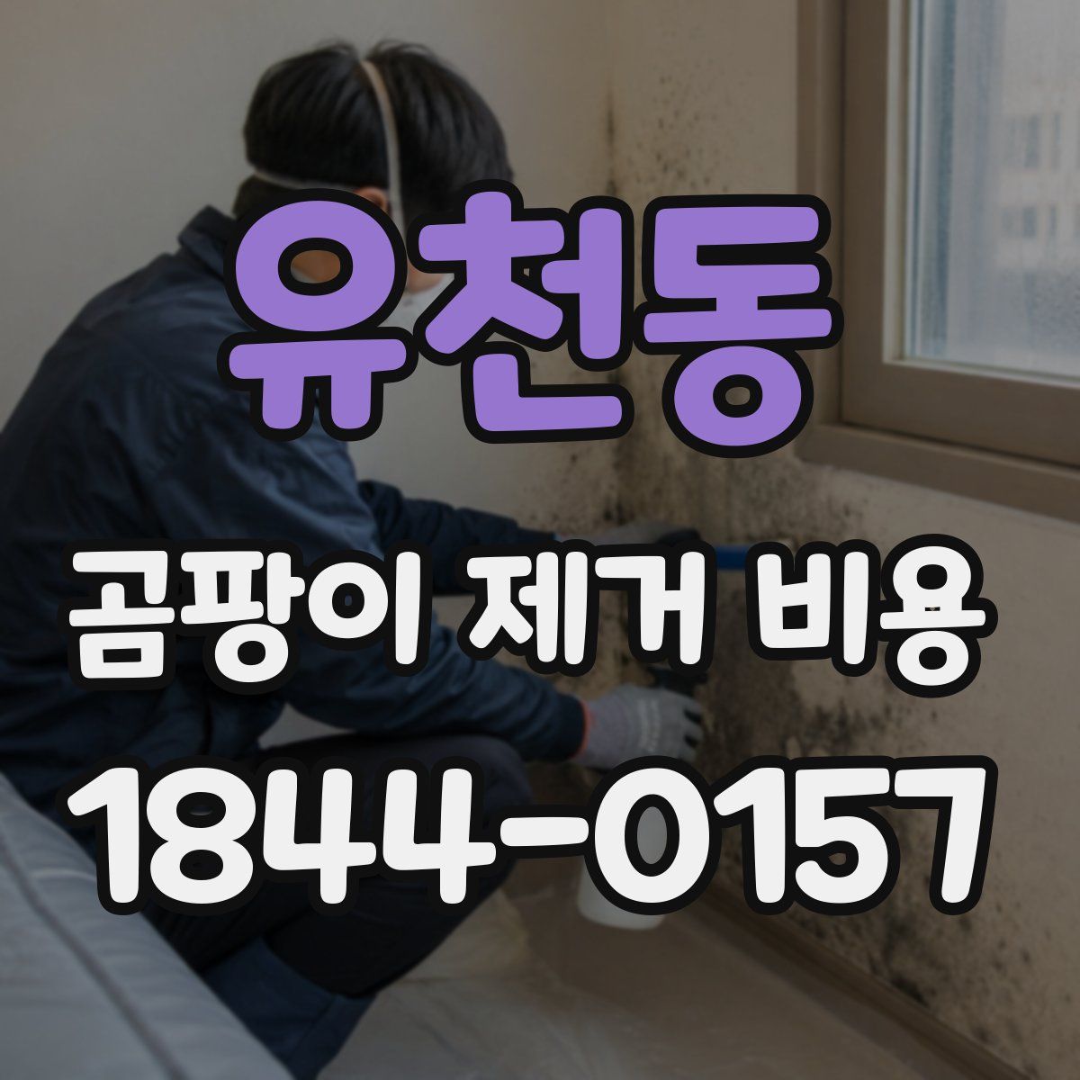 유천동 곰팡이 제거 비용