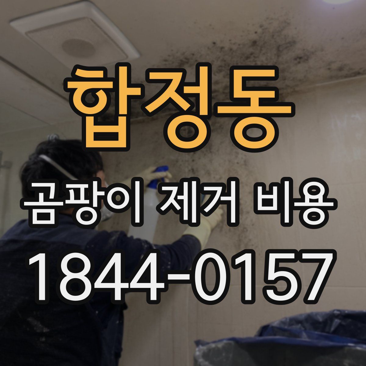 합정동 곰팡이 제거 비용
