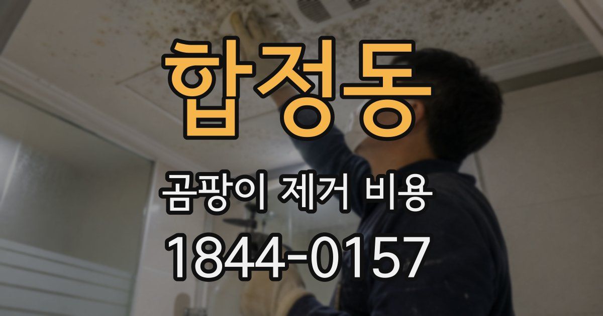 합정동 곰팡이 제거 비용