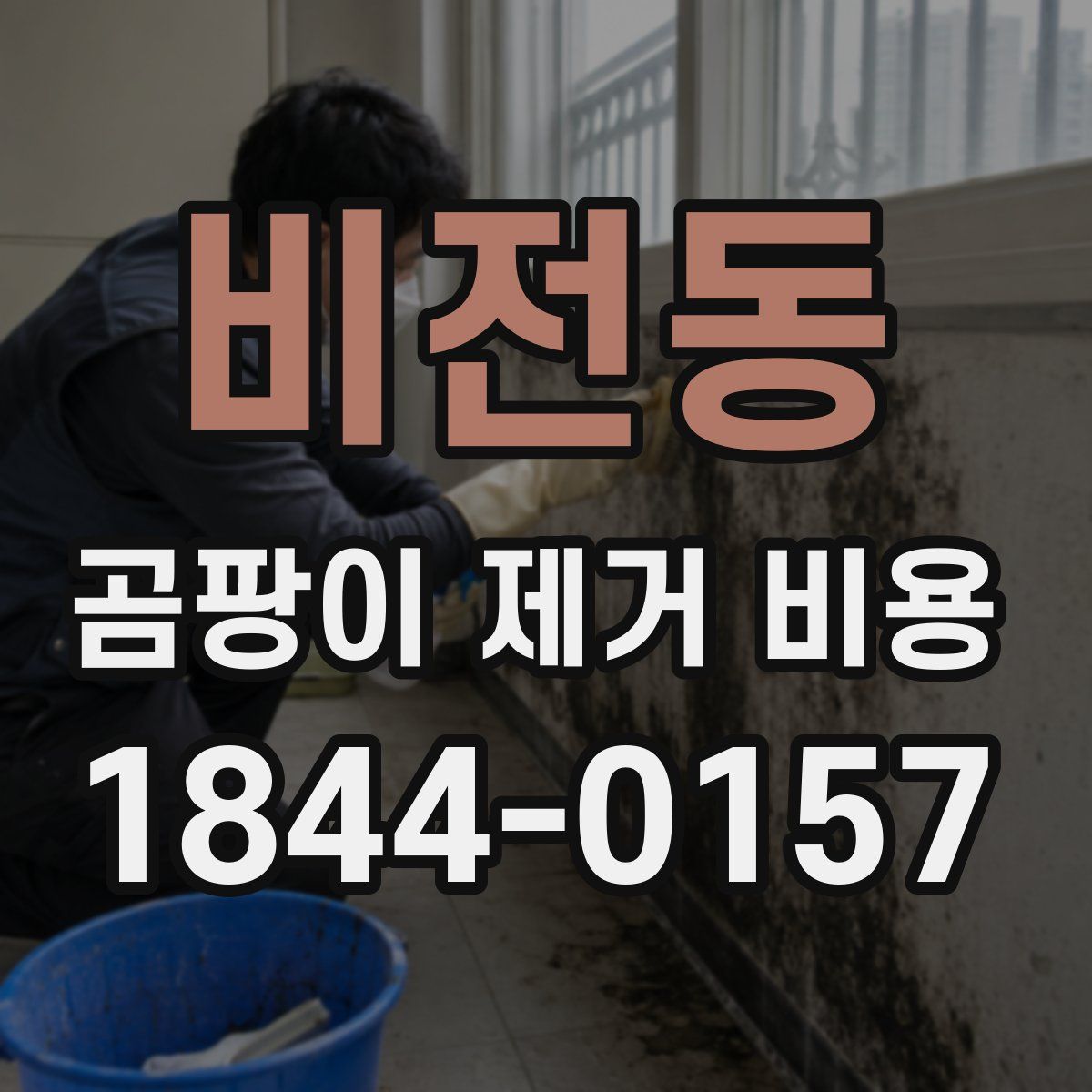 비전동 곰팡이 제거 비용