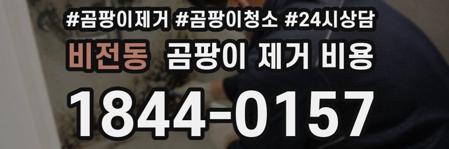 비전동 곰팡이 제거 비용