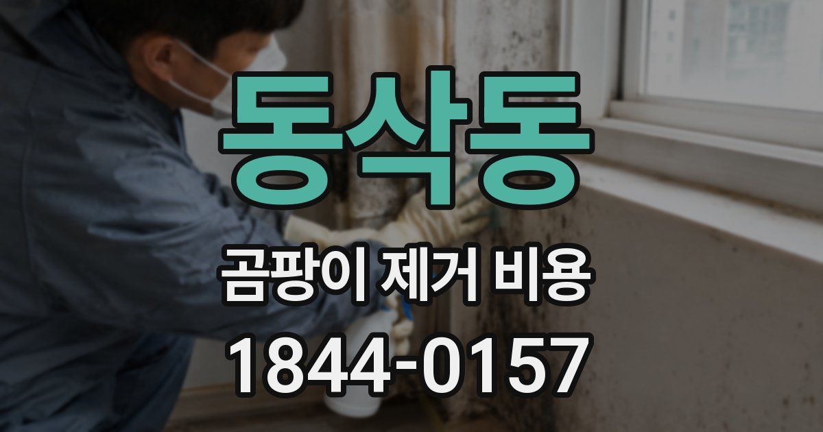 동삭동 곰팡이 제거 비용