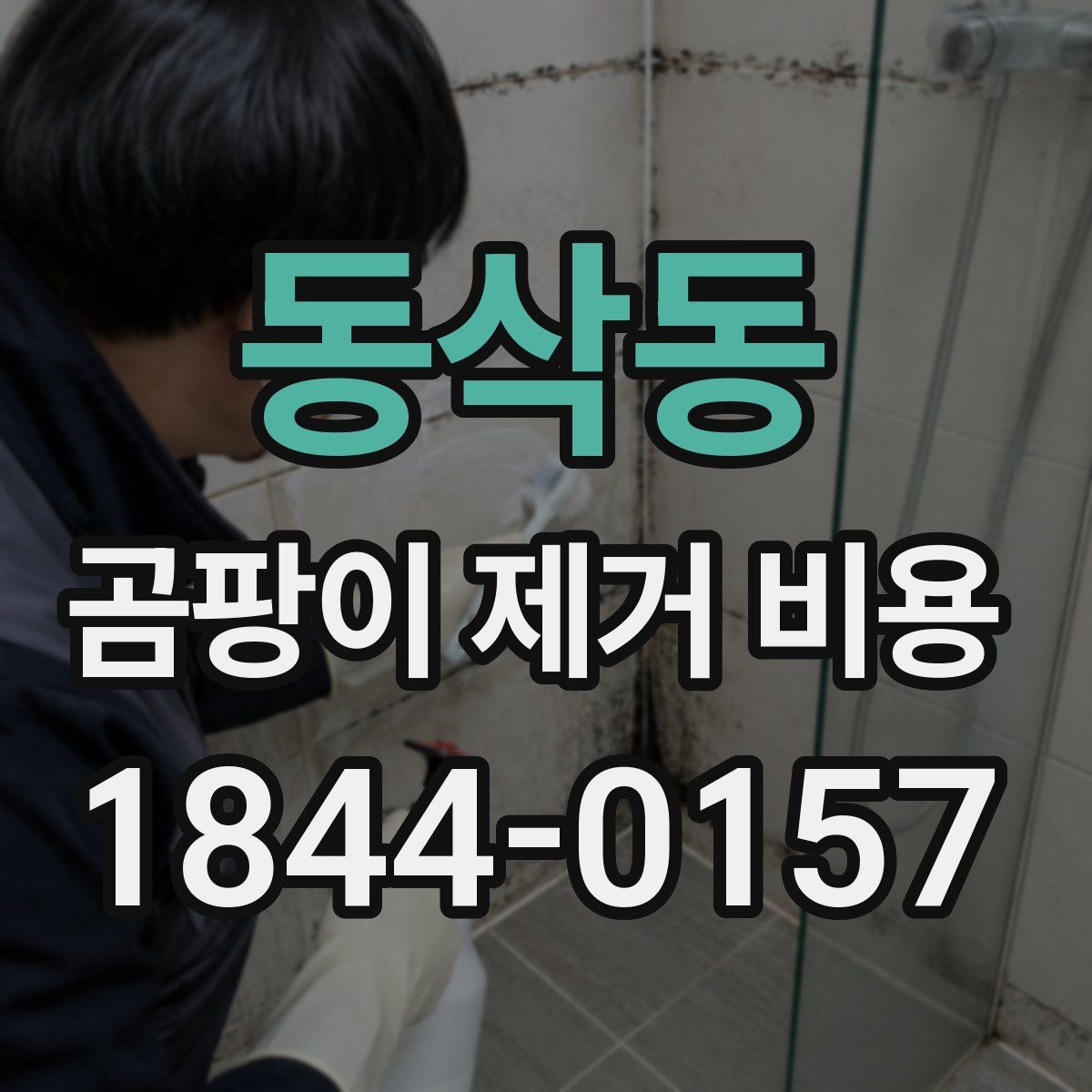 동삭동 곰팡이 제거 비용