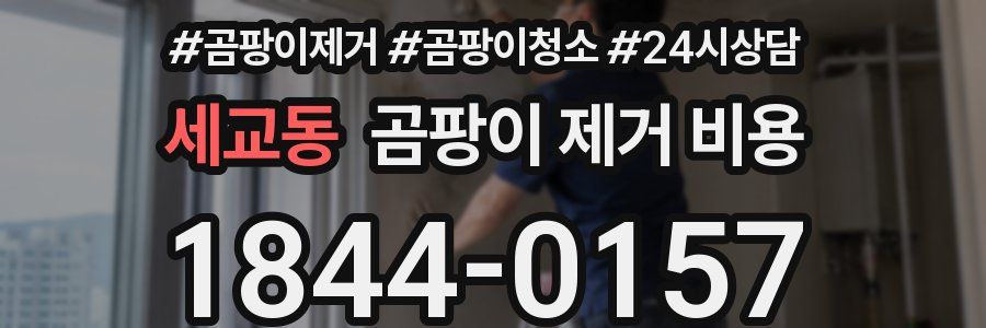 세교동 곰팡이 제거 비용