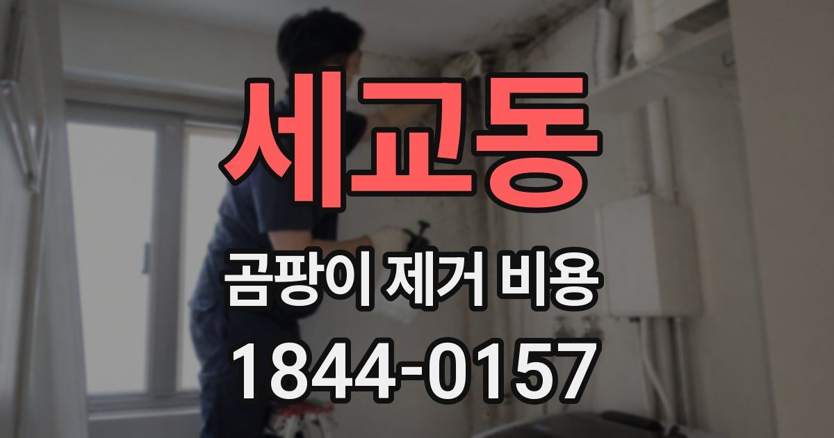 세교동 곰팡이 제거 비용