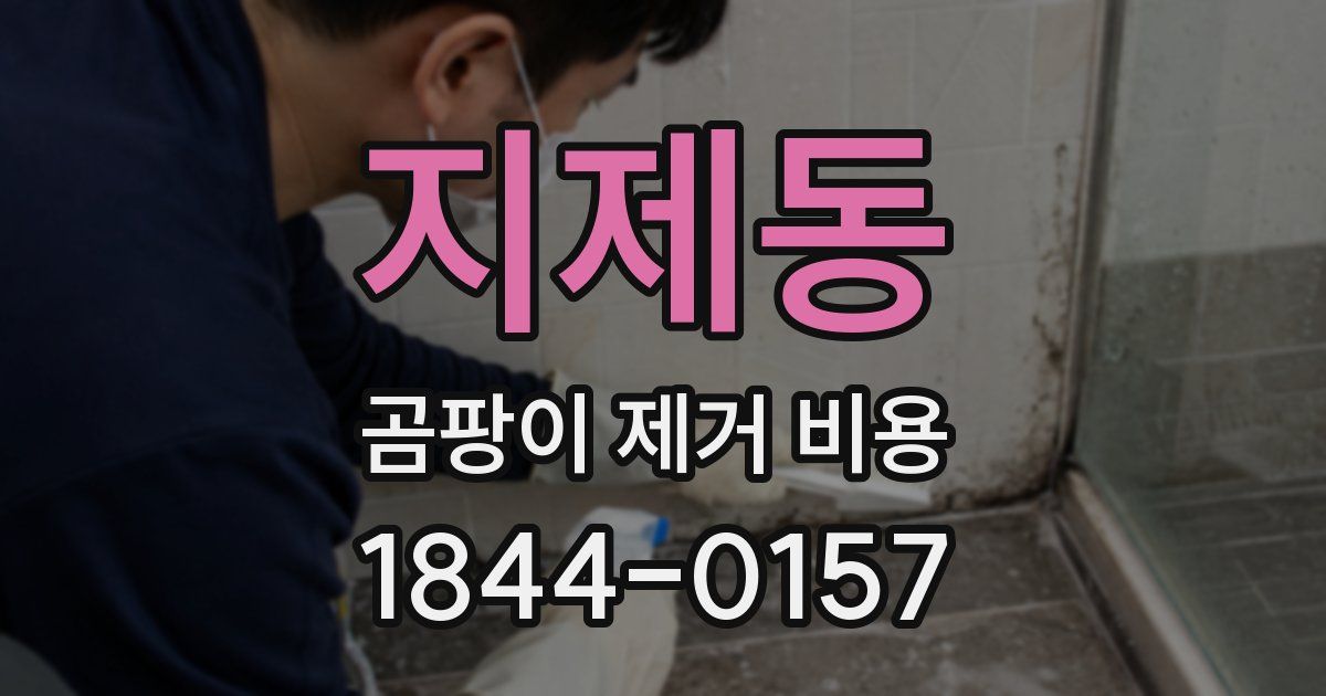 지제동 곰팡이 제거 비용
