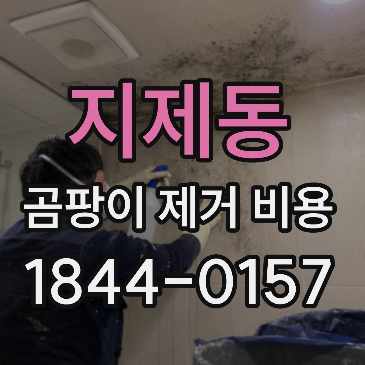 지제동 곰팡이 제거 비용