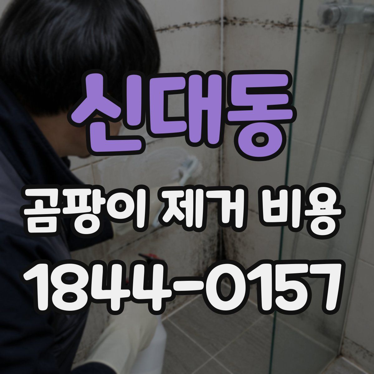 신대동 곰팡이 제거 비용