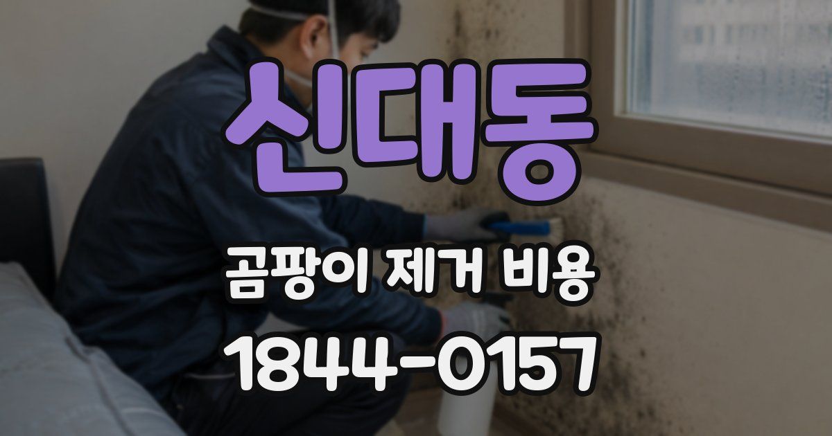신대동 곰팡이 제거 비용