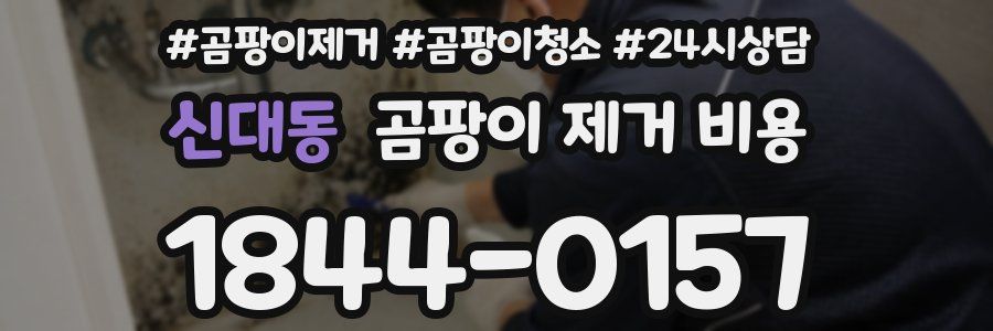 신대동 곰팡이 제거 비용