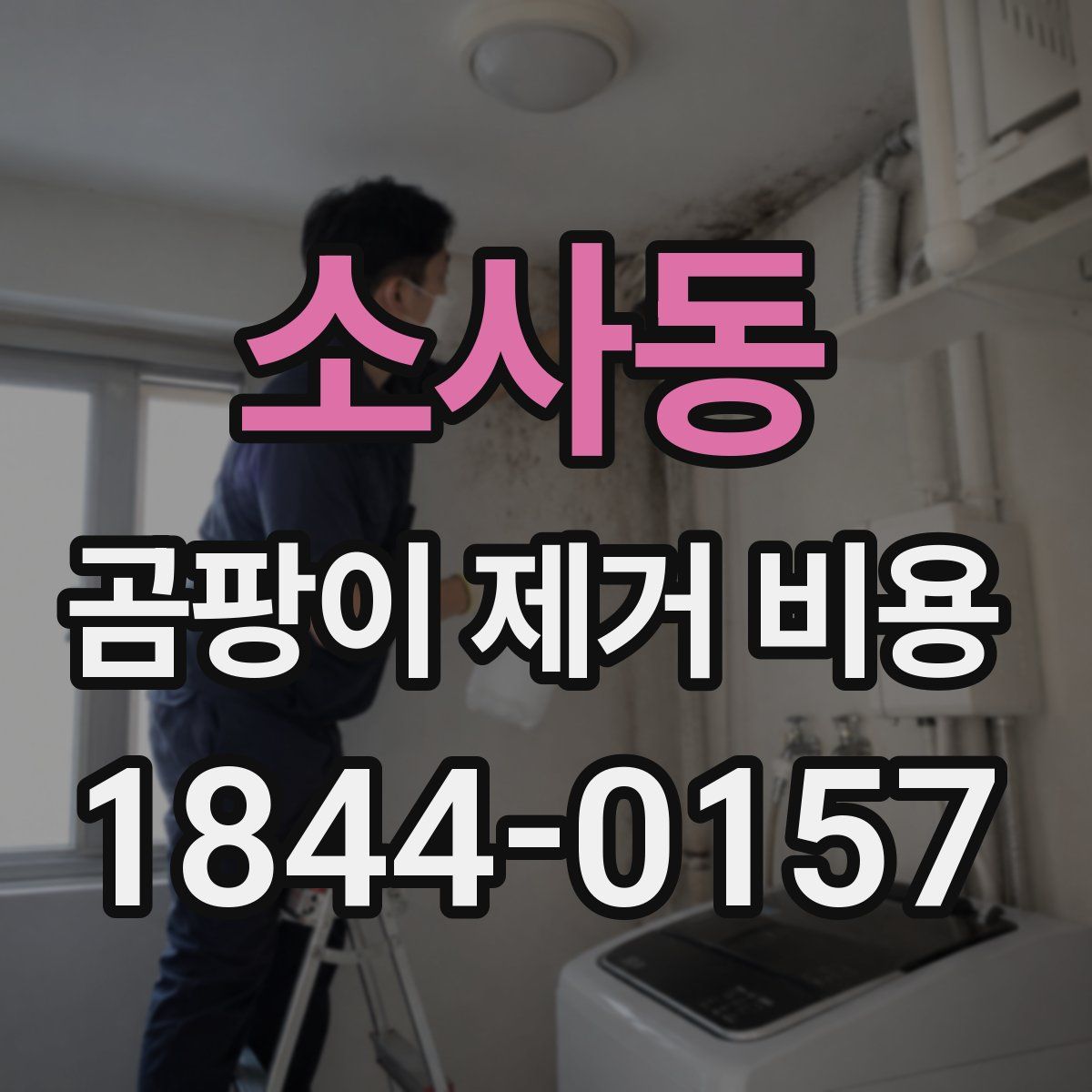 소사동 곰팡이 제거 비용
