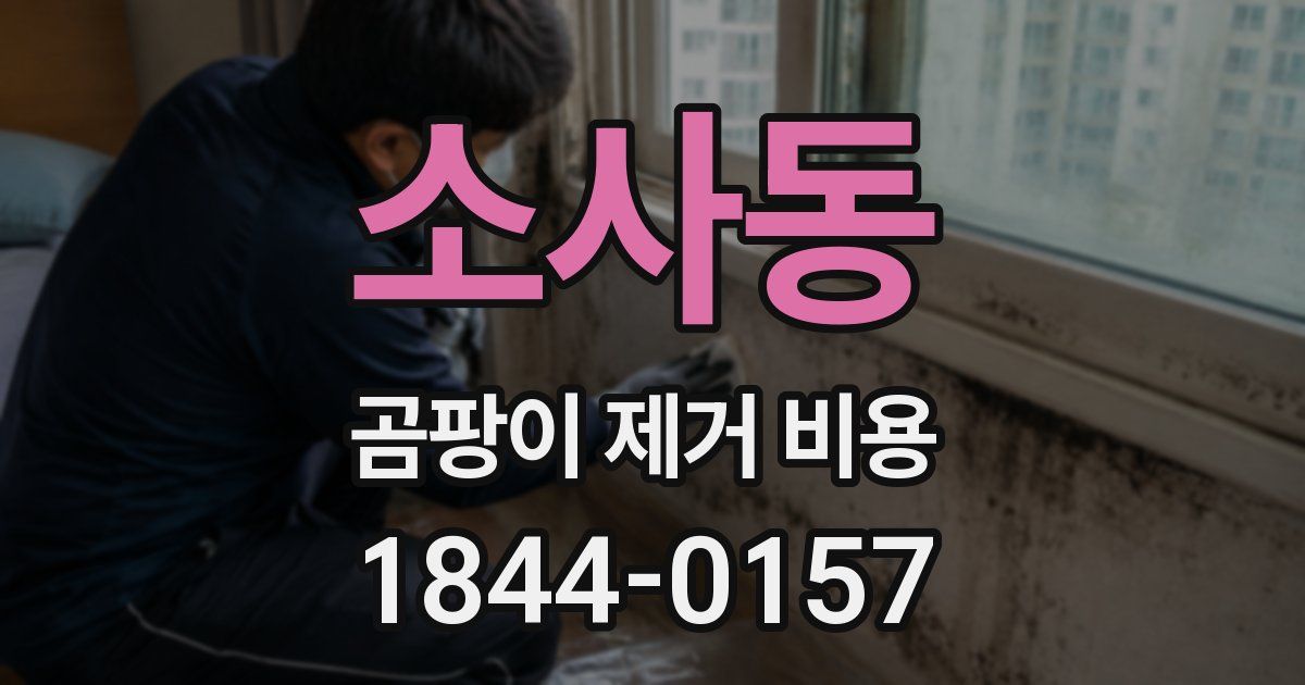 소사동 곰팡이 제거 비용
