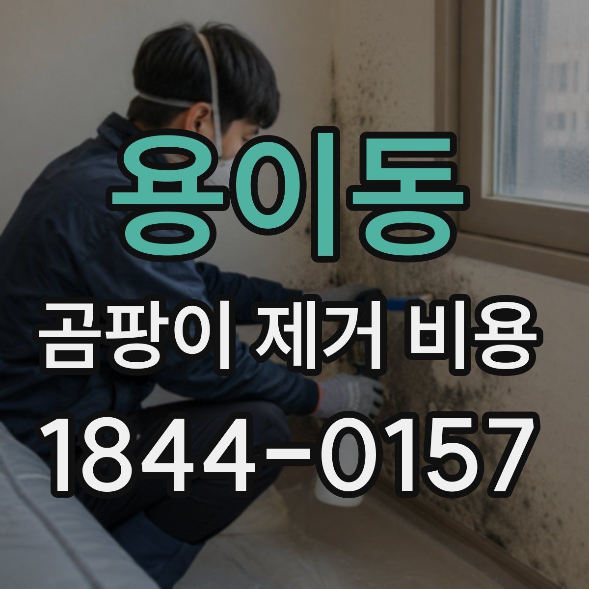 용이동 곰팡이 제거 비용 해체 후 원상복구가 들어가는 기준