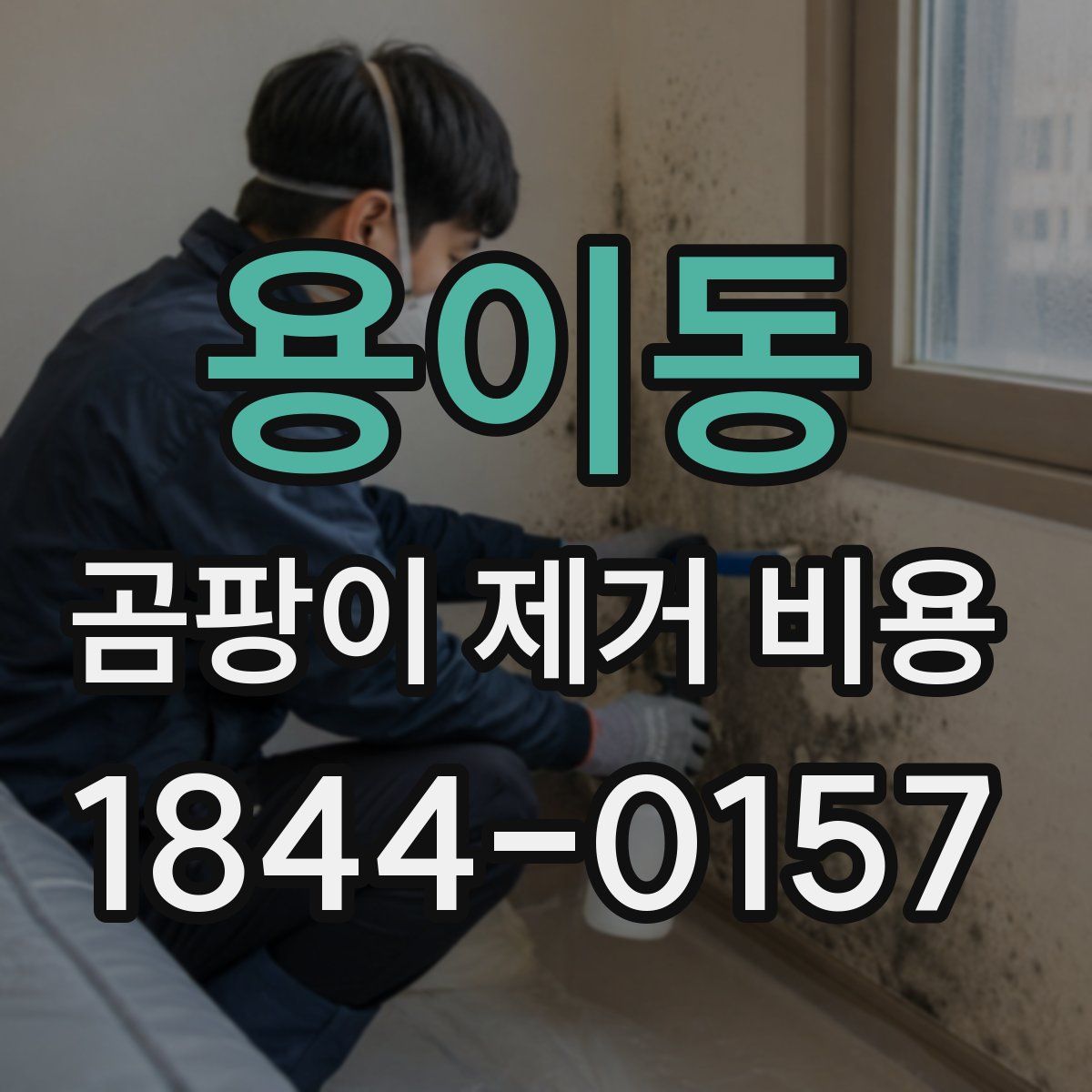 용이동 곰팡이 제거 비용