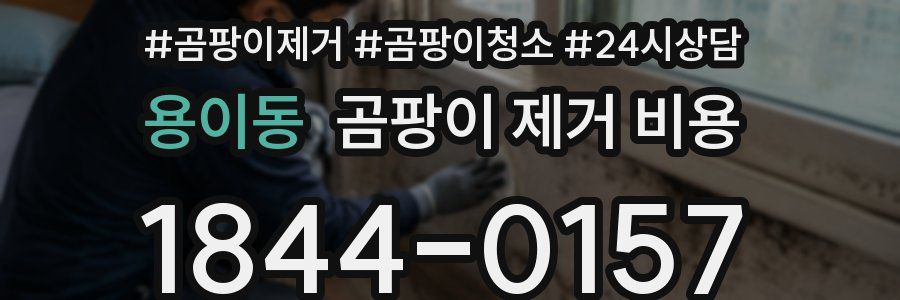 용이동 곰팡이 제거 비용