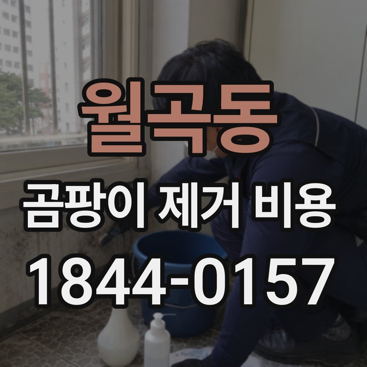 월곡동 곰팡이 제거 비용