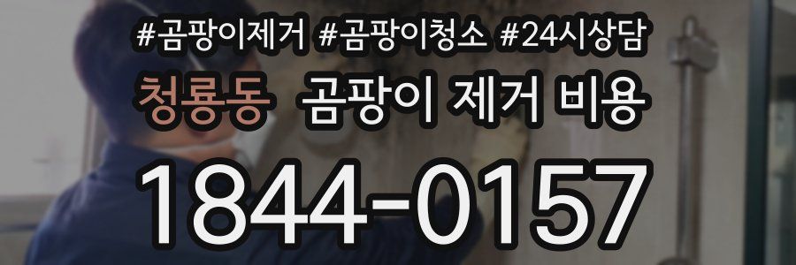 청룡동 곰팡이 제거 비용