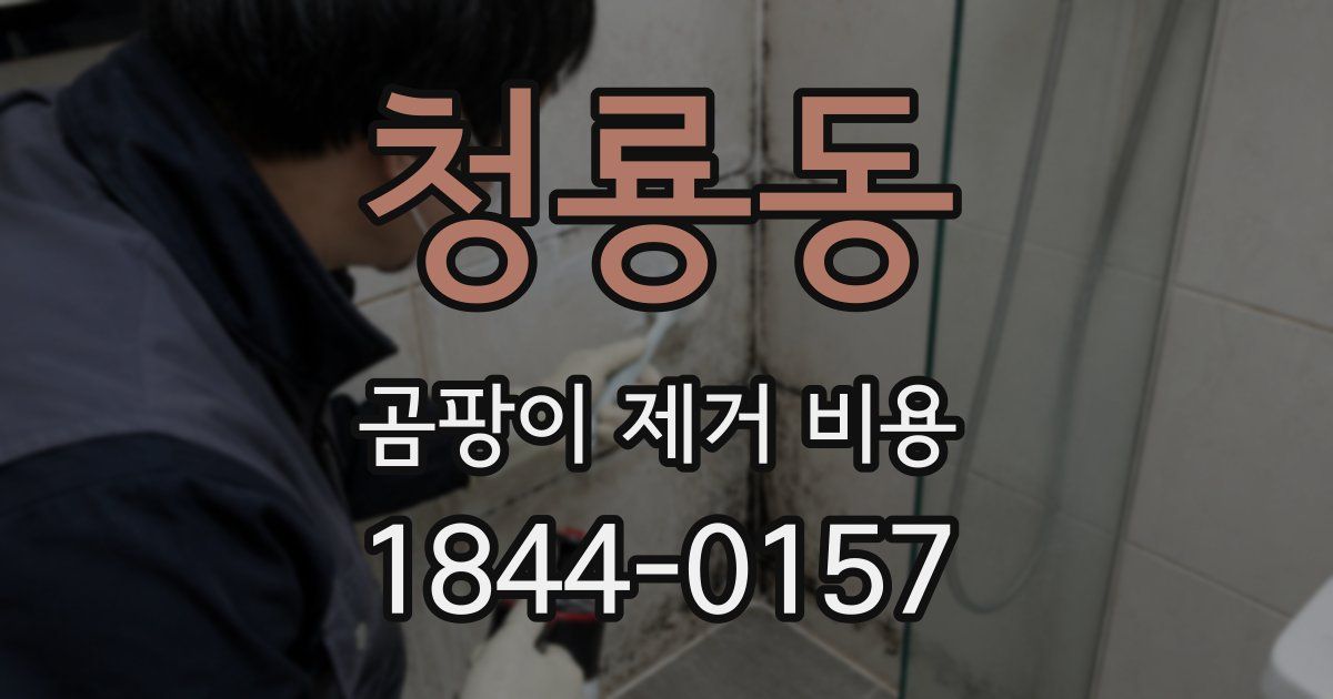 청룡동 곰팡이 제거 비용