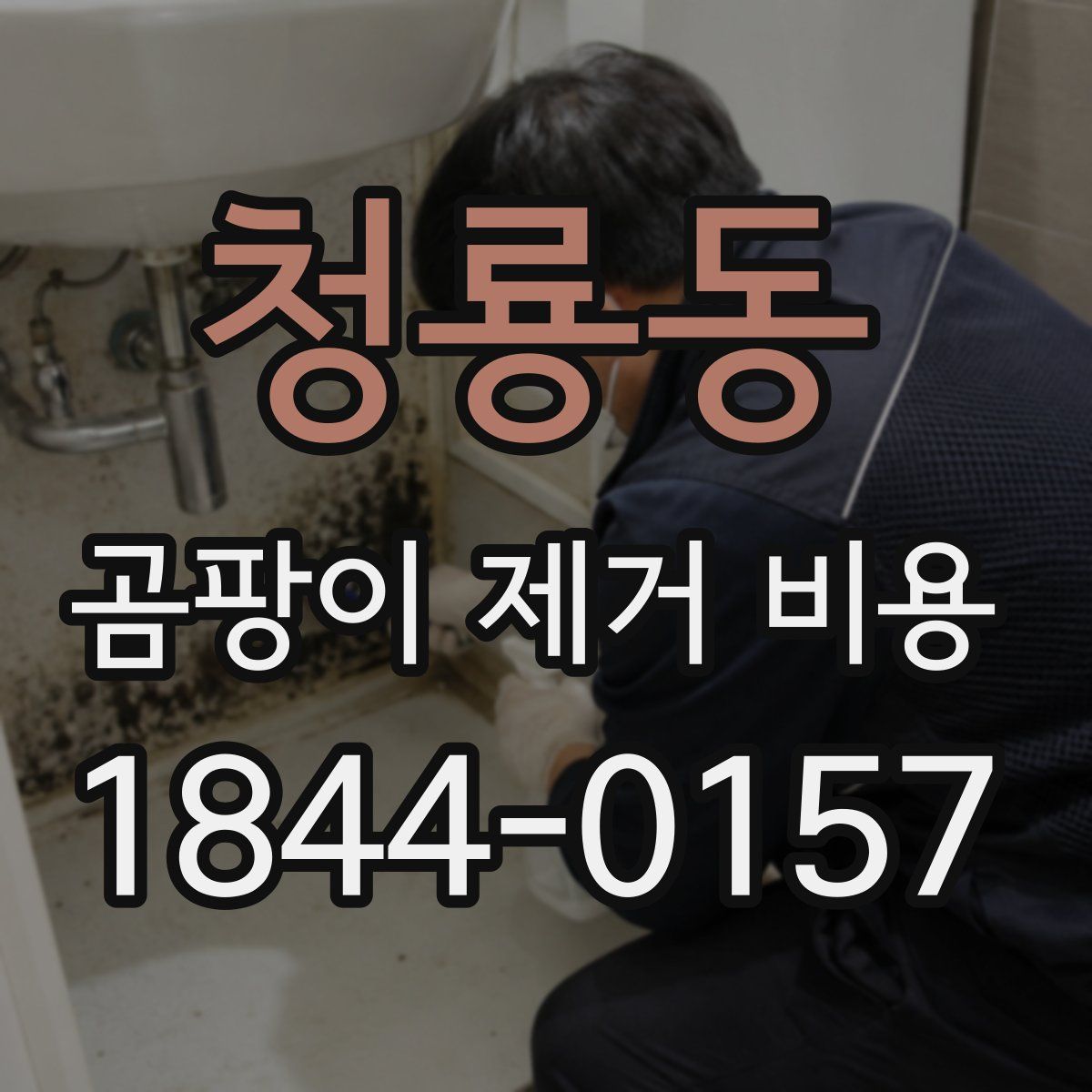 청룡동 곰팡이 제거 비용