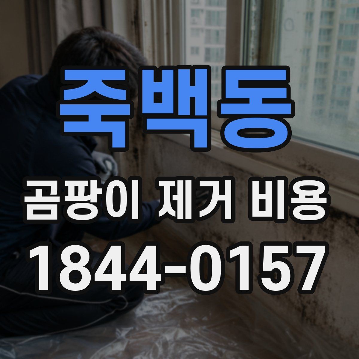 죽백동 곰팡이 제거 비용 복구 범위가 넓어질수록 달라지는 항목