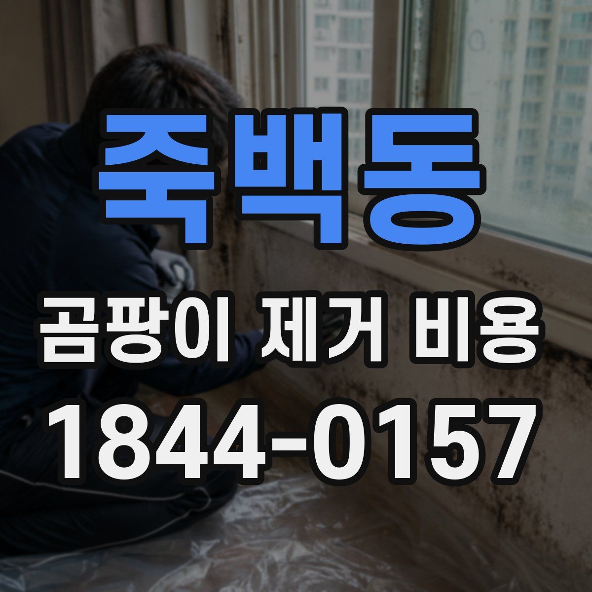 죽백동 곰팡이 제거 비용