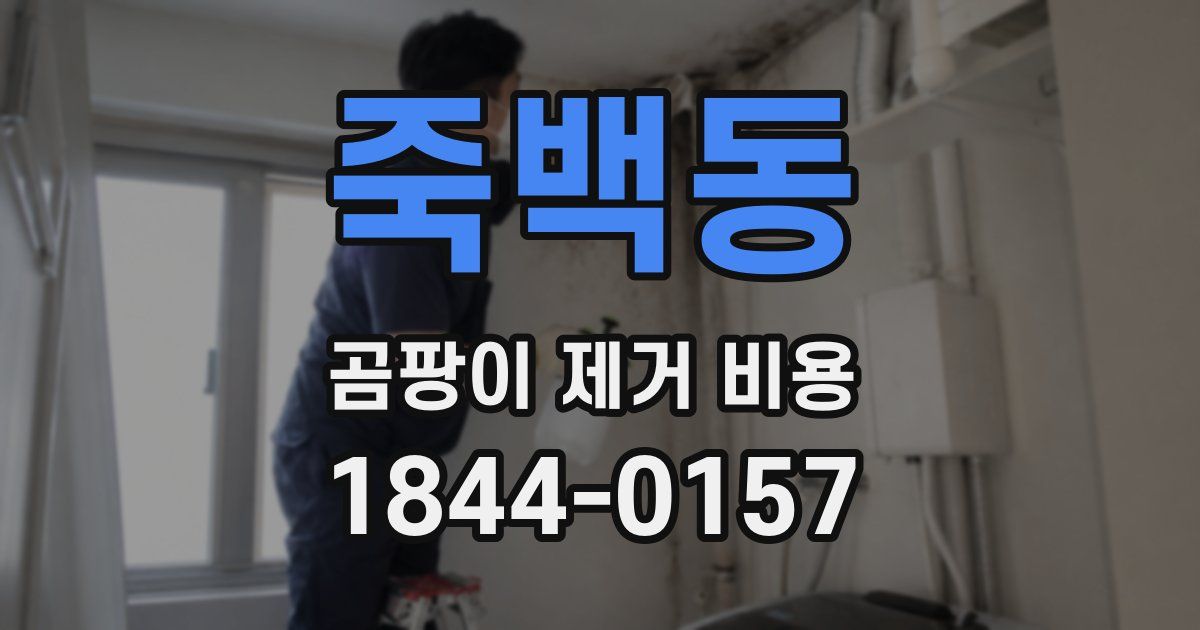 죽백동 곰팡이 제거 비용