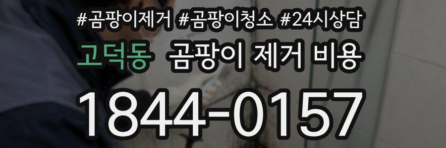 고덕동 곰팡이 제거 비용