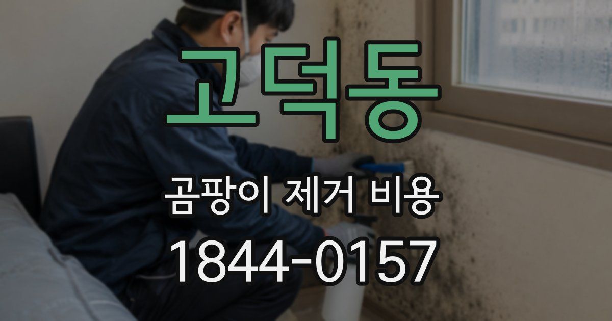 고덕동 곰팡이 제거 비용