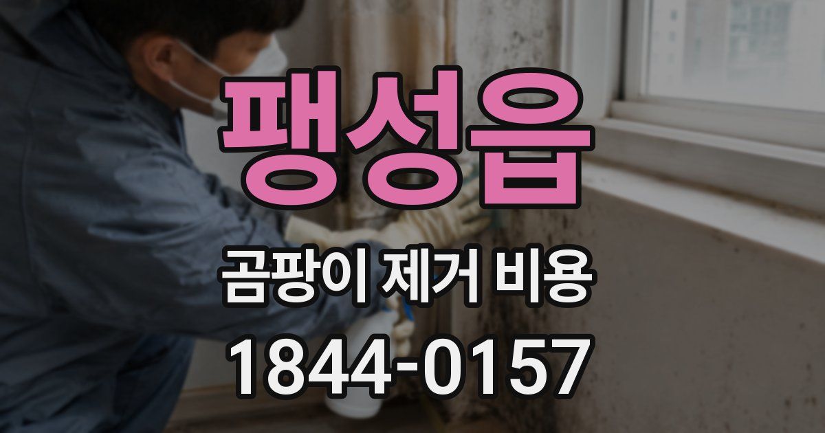 팽성읍 곰팡이 제거 비용