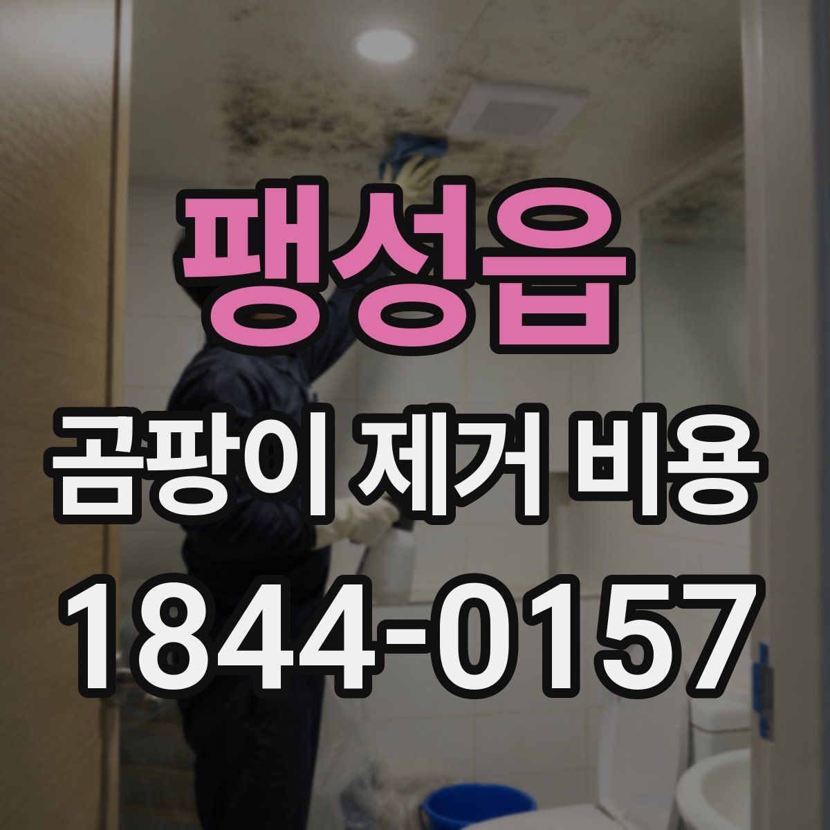 팽성읍 곰팡이 제거 비용