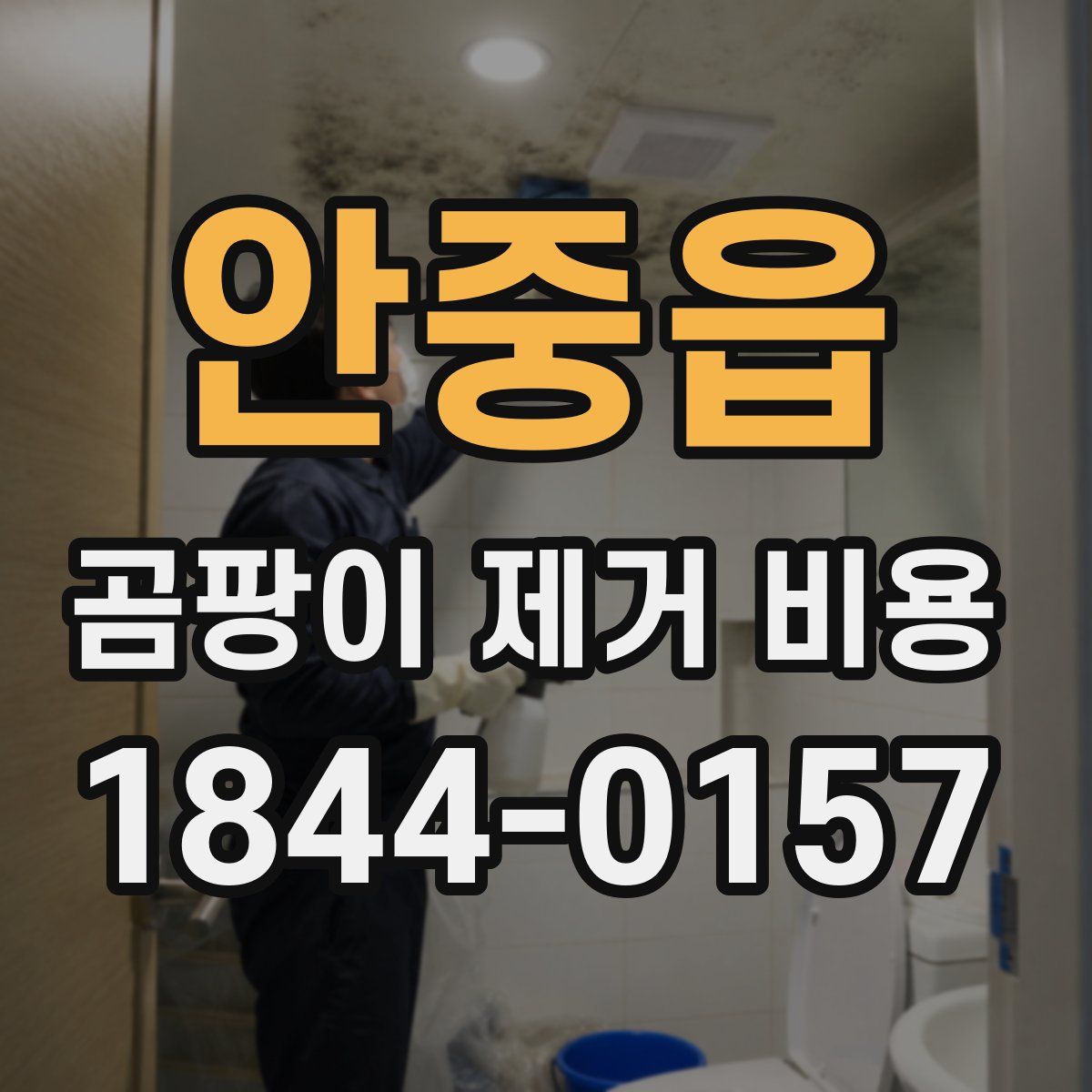 안중읍 곰팡이 제거 비용