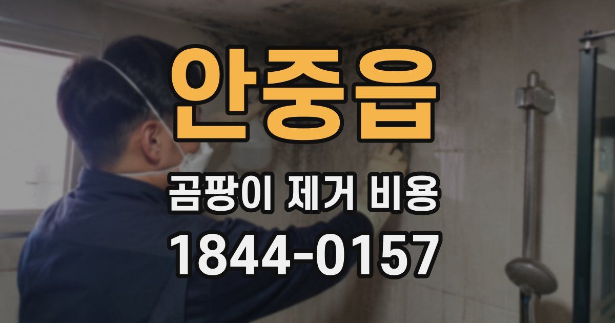 안중읍 곰팡이 제거 비용