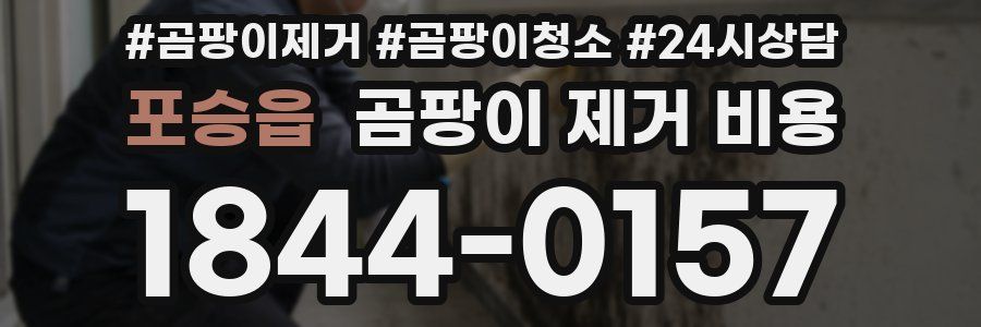 포승읍 곰팡이 제거 비용