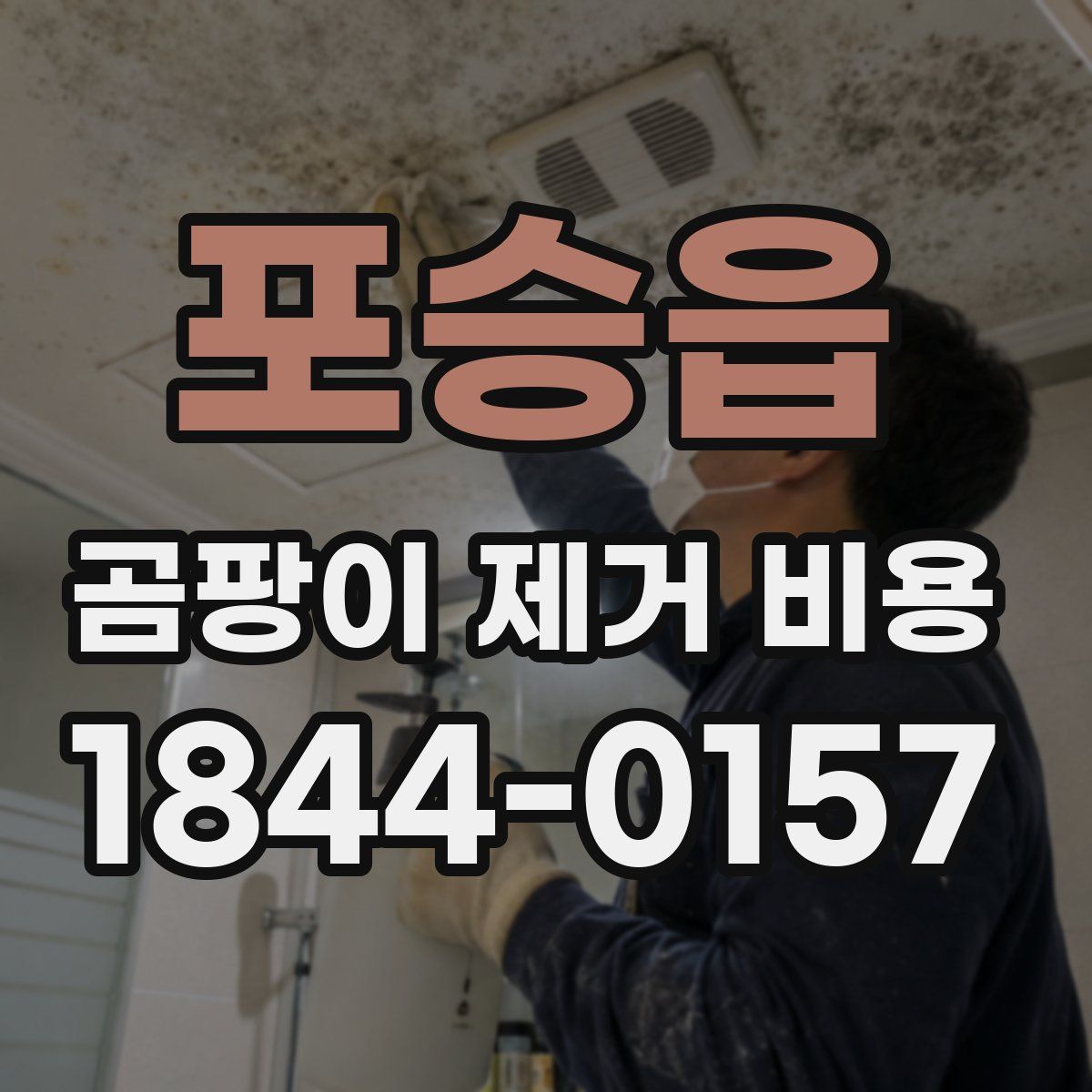 포승읍 곰팡이 제거 비용